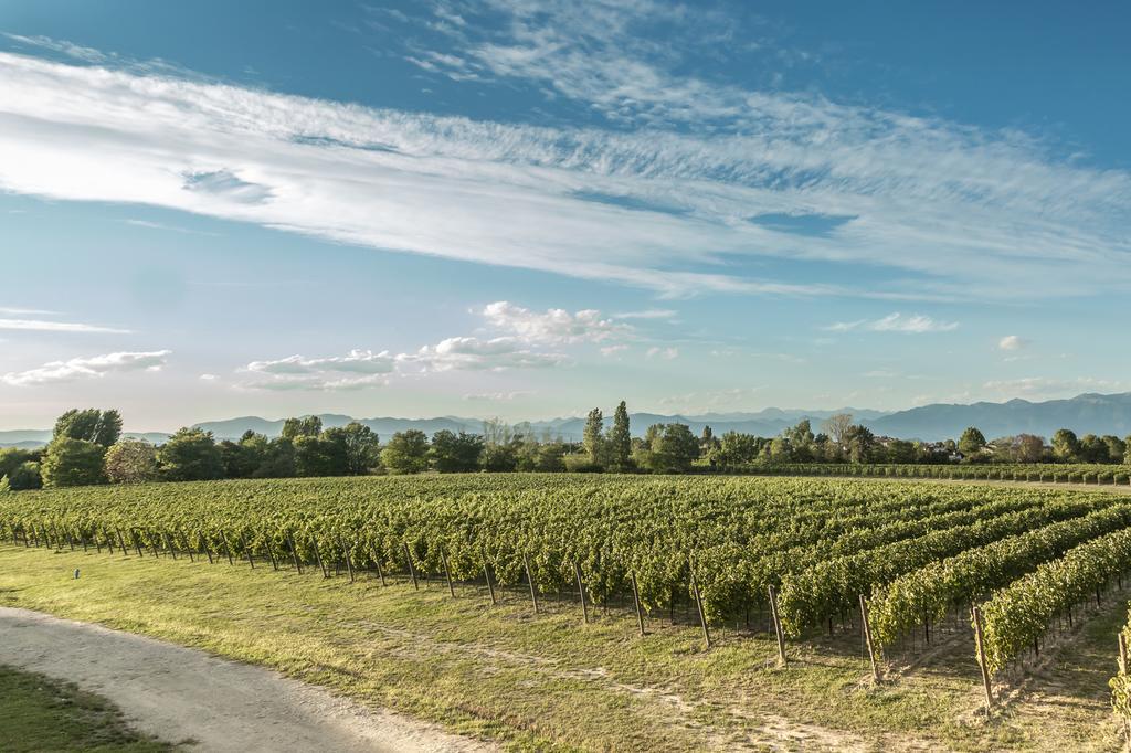 Cascina Borghetta Villa Sirmione Eksteriør billede